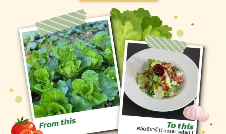 Farm to Table เชียงใหม่